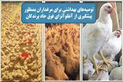 توصیه‌های بهداشتی به مرغداران برای پیشگیری از آنفلوانزای فوق حاد پرندگان